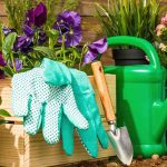 10 essential tools for landscaping and gardening | All Green