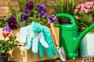 10 essential tools for landscaping and gardening | All Green