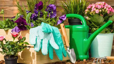 10 essential tools for landscaping and gardening | All Green