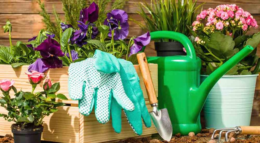 10 essential tools for landscaping and gardening | All Green