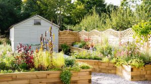 Low maintenance garden ideas: 29 stylish ways to create an easy-care plot |  Gardeningetc