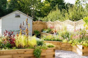 Low maintenance garden ideas: 29 stylish ways to create an easy-care plot |  Gardeningetc