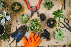 10 Tools That Could Revolutionize Your Gardening Experience