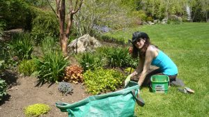 How to get big results as a weekend garden warrior