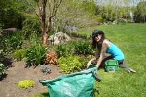 How to get big results as a weekend garden warrior