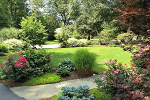 Seasonal Planting for Year-Round Beauty and Environmental Support