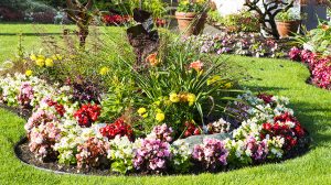 Spring Garden Checklist: What You Need to Do Right Now | Greenstreet Gardens