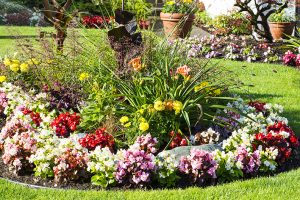 Spring Garden Checklist: What You Need to Do Right Now | Greenstreet Gardens