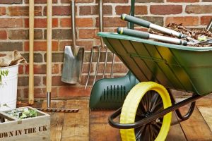 Buying the Best Garden Tools | John Lewis & Partners