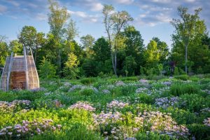 How to Create an Ecologically Responsible Garden That's Also Beautiful -  The New York Times