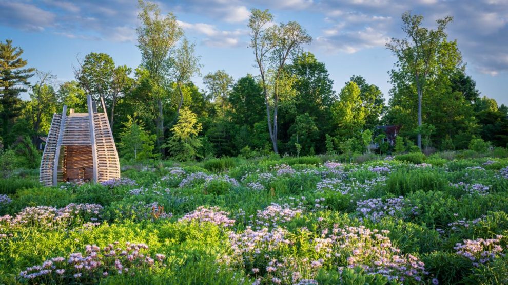 How to Create an Ecologically Responsible Garden That's Also Beautiful -  The New York Times