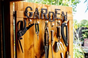 Which Gardening Tools Do You Actually Need? How To Choose the Right Ones  for You - Garden Gate Guides