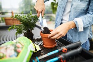 21 Best Gardening Tools, According to Plant Experts